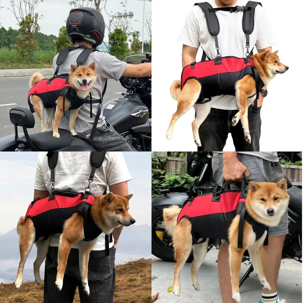 The adjustable shoulder straps provide a custom fit, ensuring comfort for all users. Whether the journey is short or long, these adjustable straps make carrying the backpack easy and comfortable.