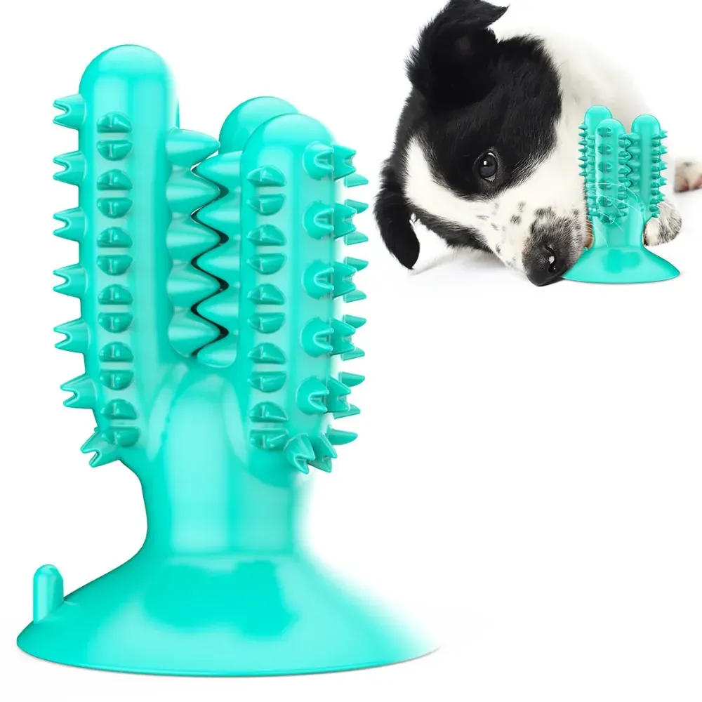 blue dog chew toothbrush toy