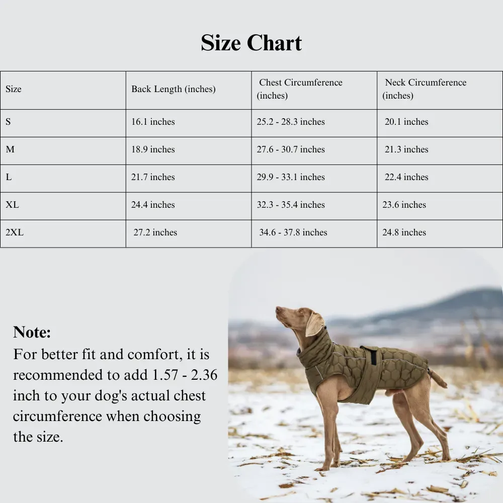 weather-resistant dog jacket wholesale