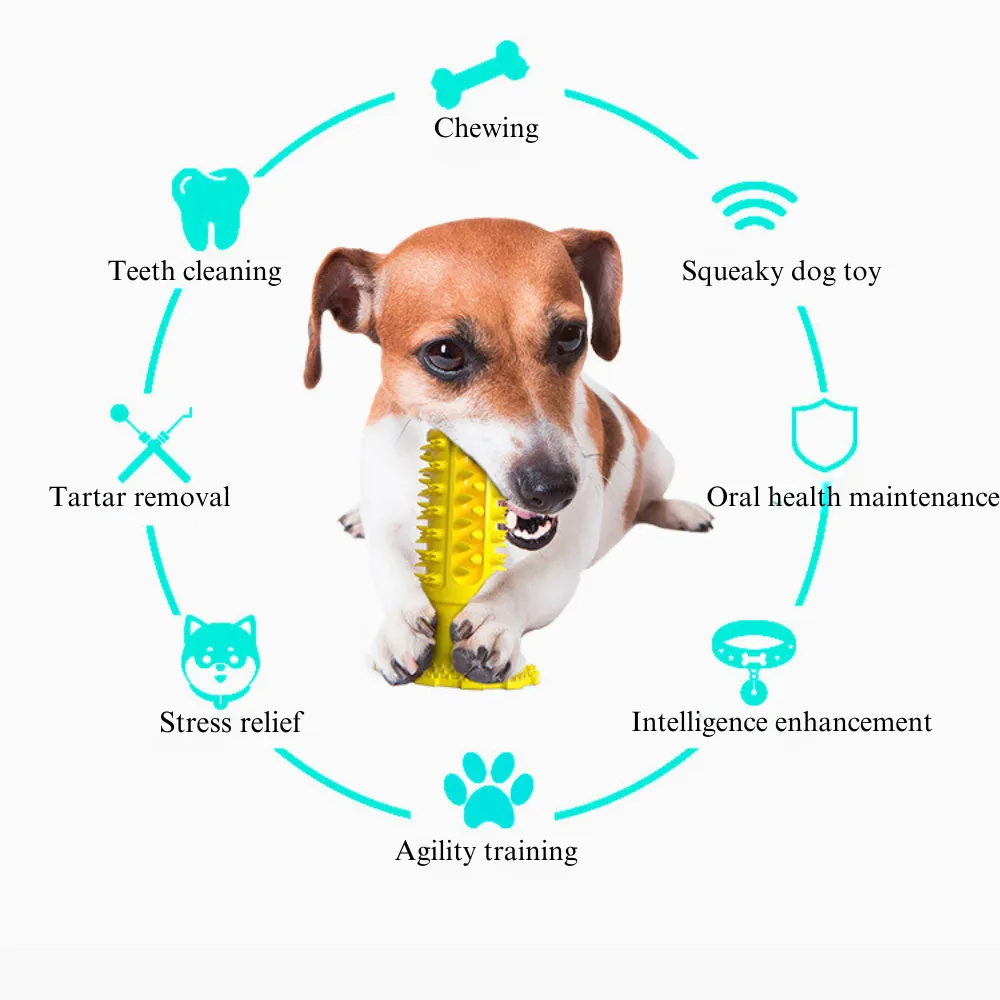 dog toothbrush toys