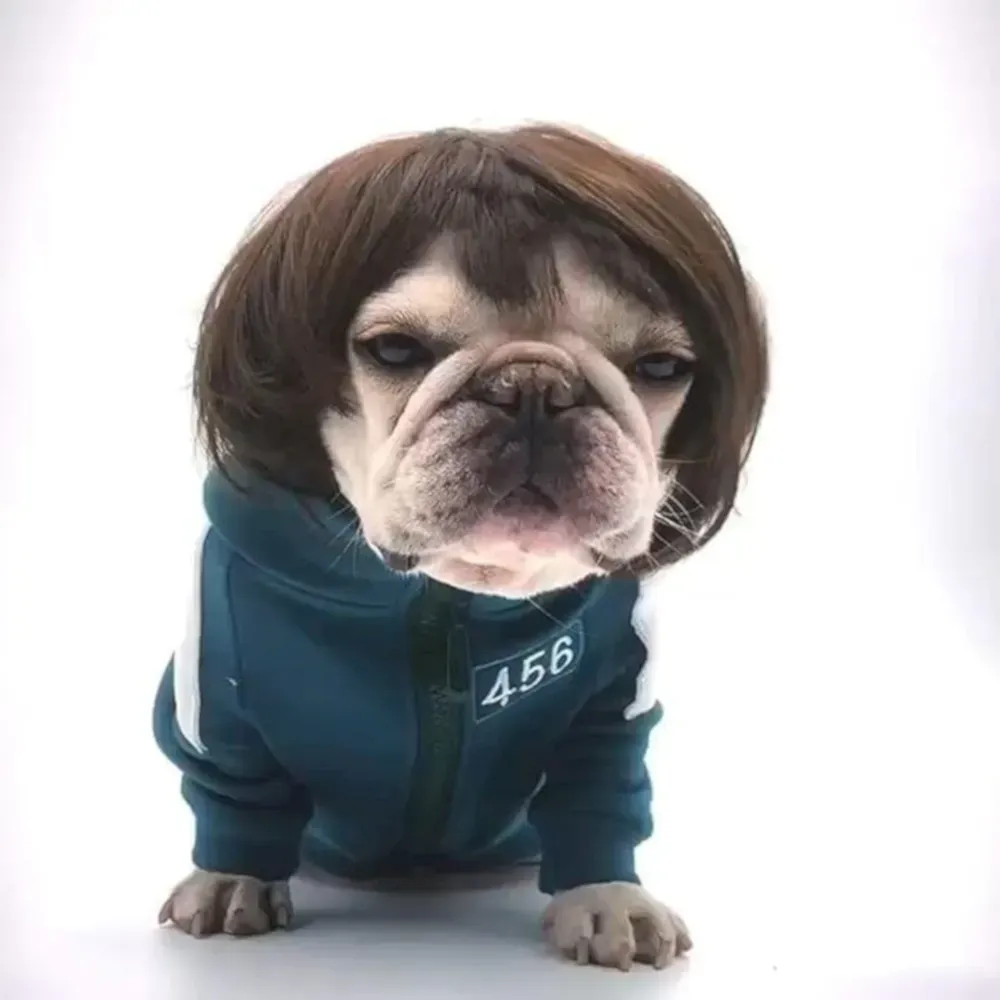 Dog Cat Cosplay Wig