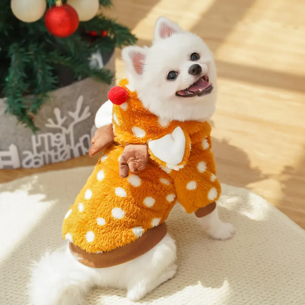 Polka-dotted holiday pet clothing
