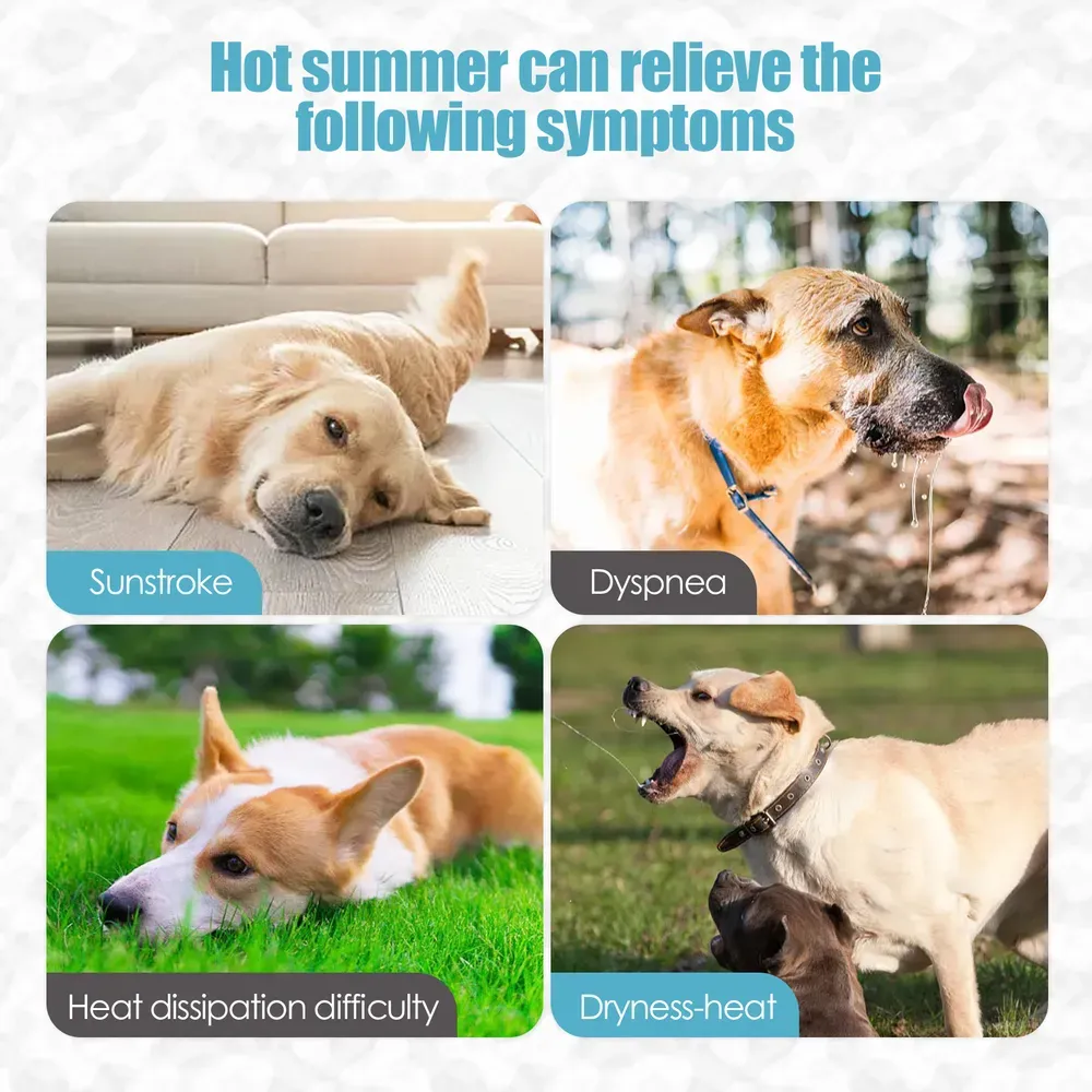Breathable Dog Vest for Hot Weather: Designed to keep pets cool, this breathable vest prevents overheating and discomfort, perfect for summer outings or everyday wear in hot climates.