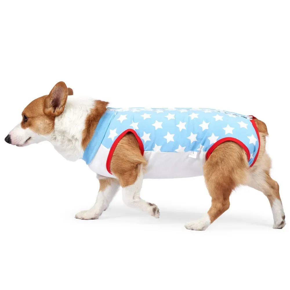 Dog recovery shirt Breathable dog recovery shirt