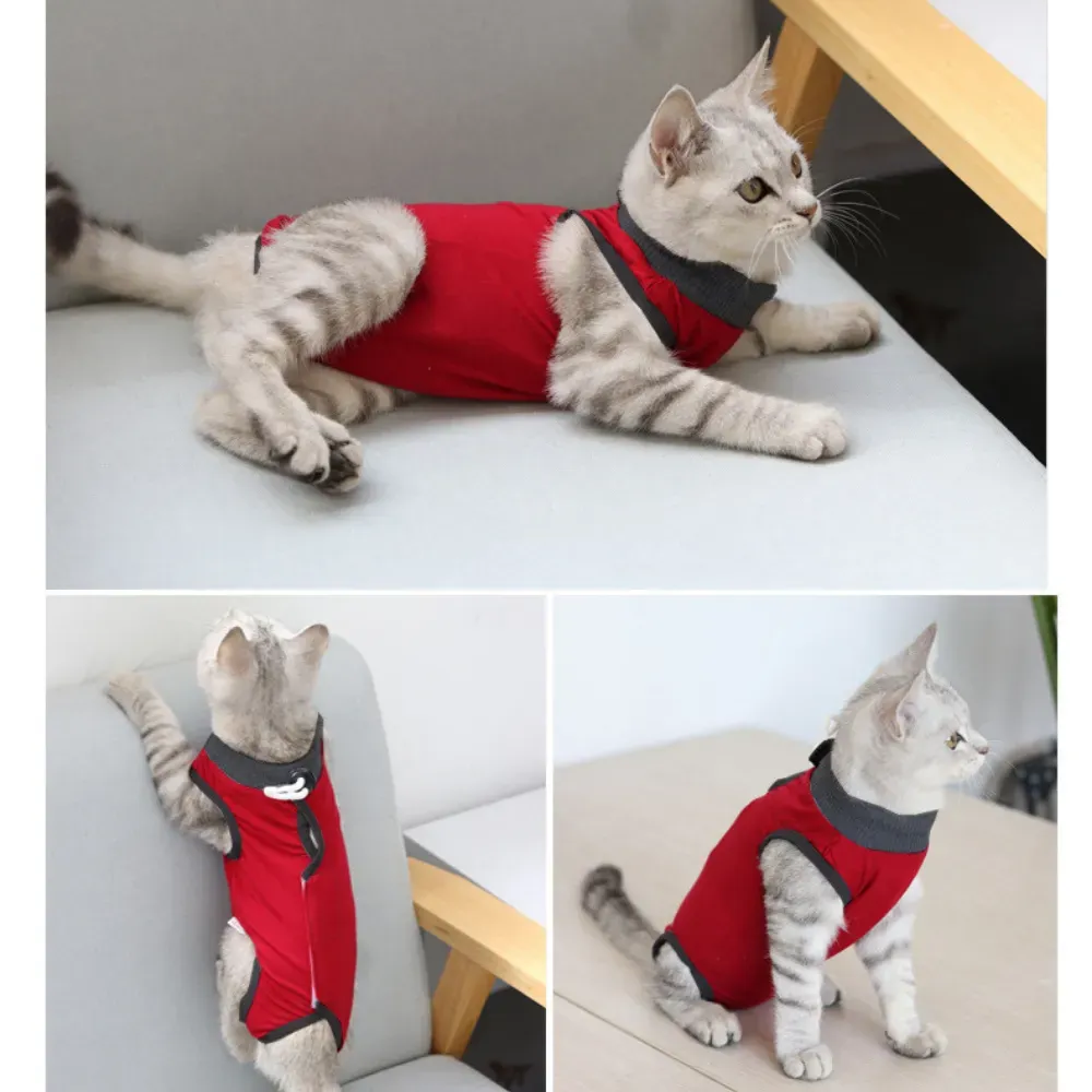 cat surgical recovery suit (1) Convenient for Pet Owners: Easy to put on and remove, this suit saves time for pet owners and ensures that cats are well protected throughout their recovery.