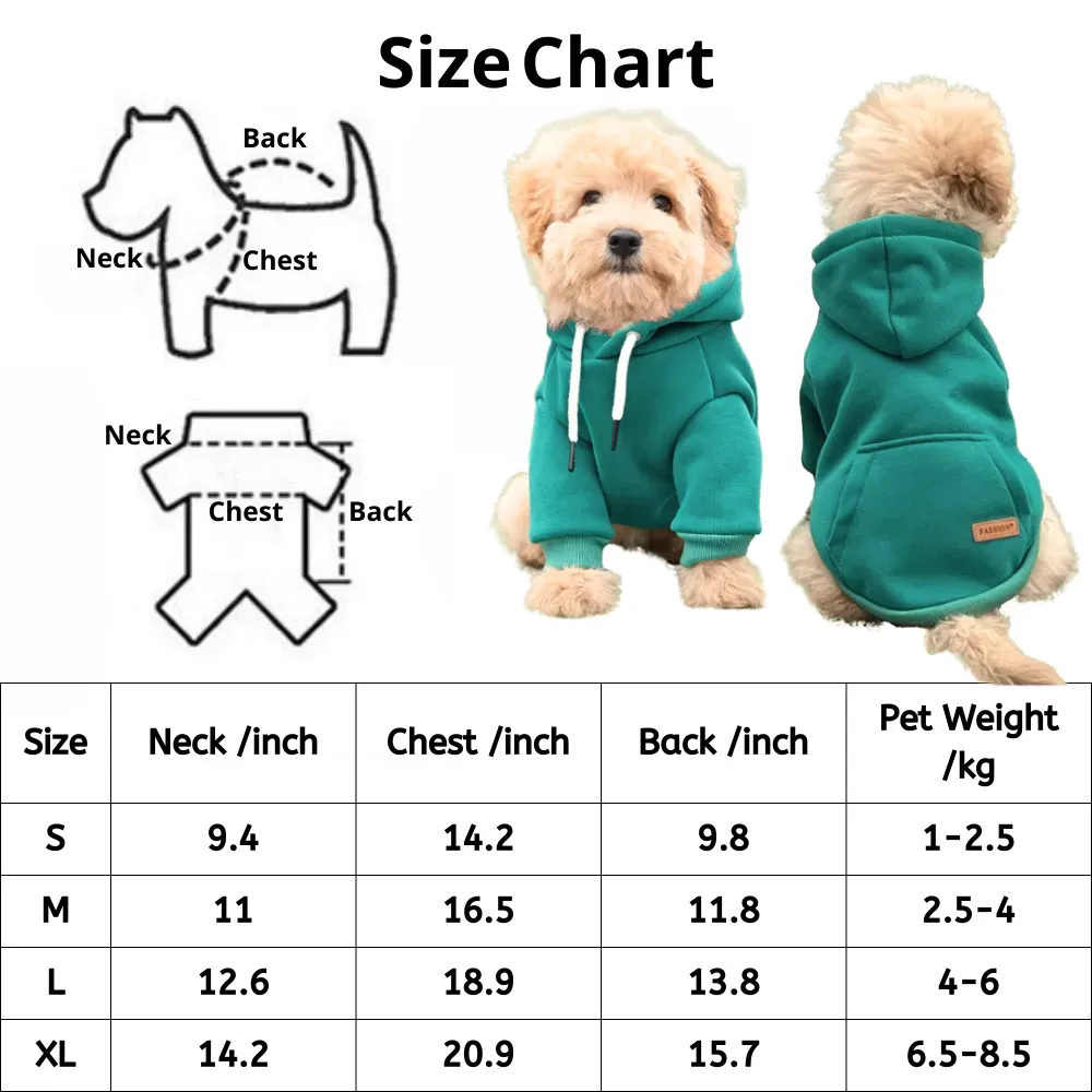 Fall dog outfit Warm Fall dog outfit