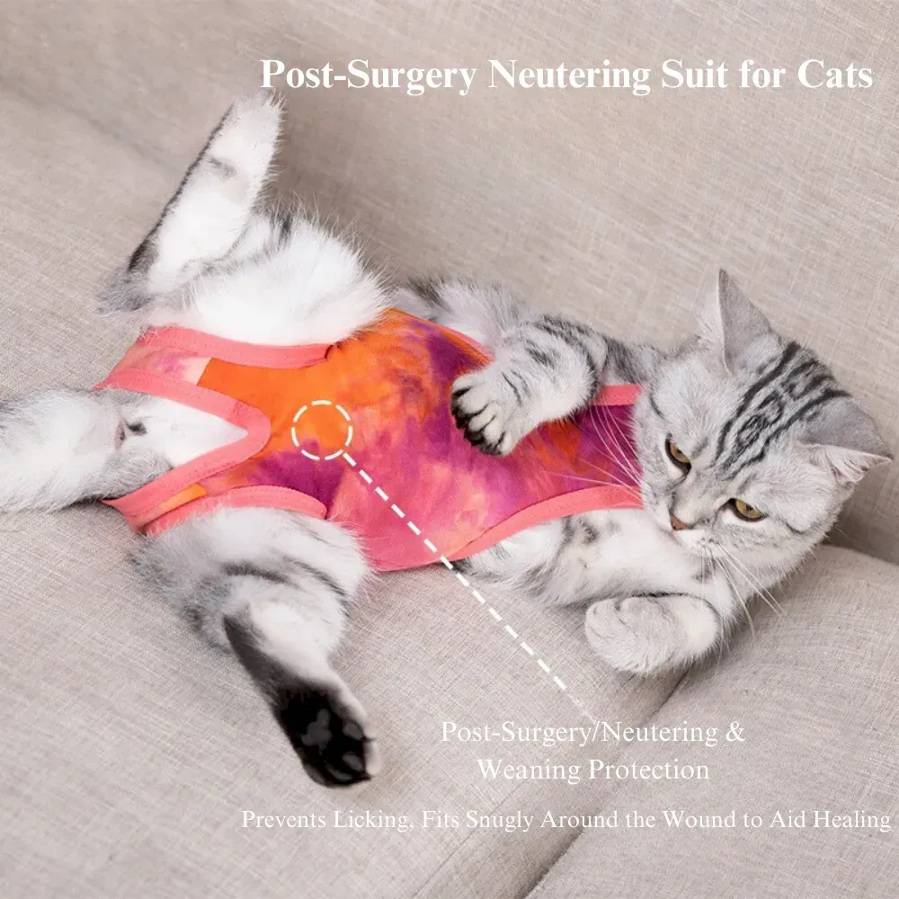 High quality spay recovery cat clothing