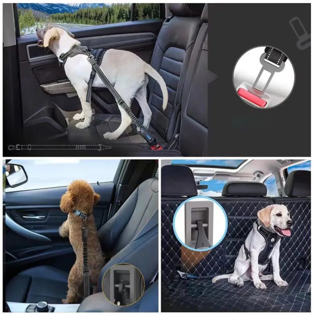 Dog Car Leash Dog Car Leash