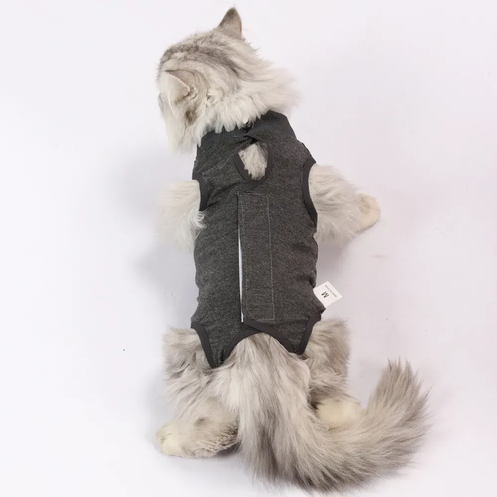 cat recovery suit (2) Gentle on Sensitive Skin: The soft and smooth fabric of the recovery suit prevents irritation, making it ideal for sensitive cats.