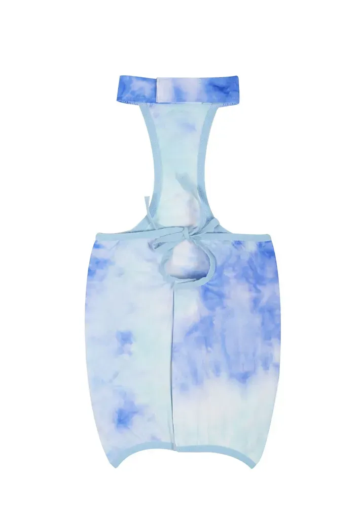 Female cat spay recovery Soft