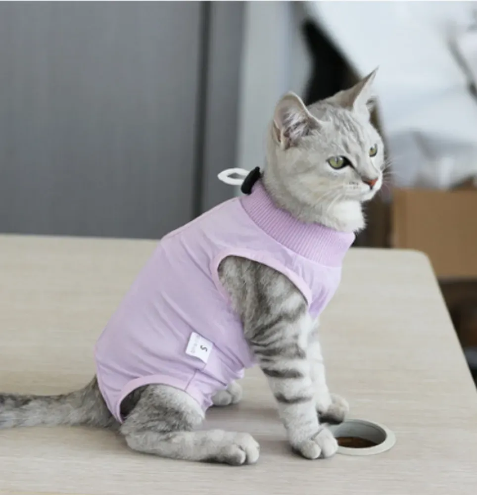 after surgery cat clothing (1) Professional-Grade Quality: Made with high-quality materials and precision craftsmanship, this recovery suit provides long-lasting protection, ensuring that pets receive the best possible care