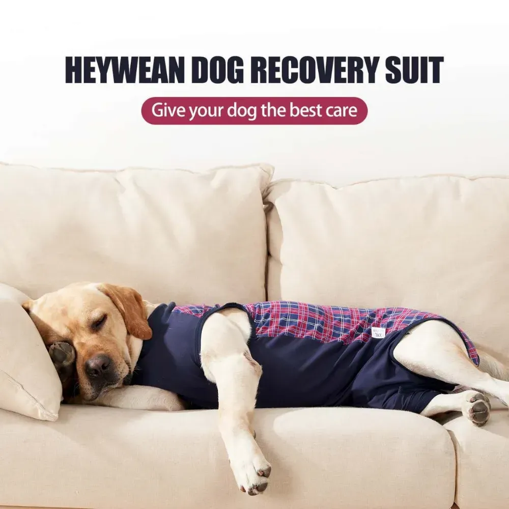 Dog recovery shirt wholesale