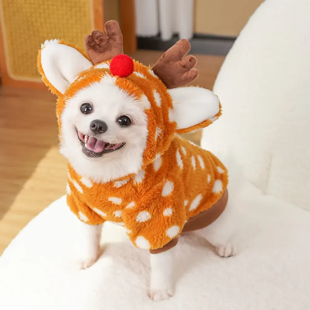 Medium dog winter sweater festival