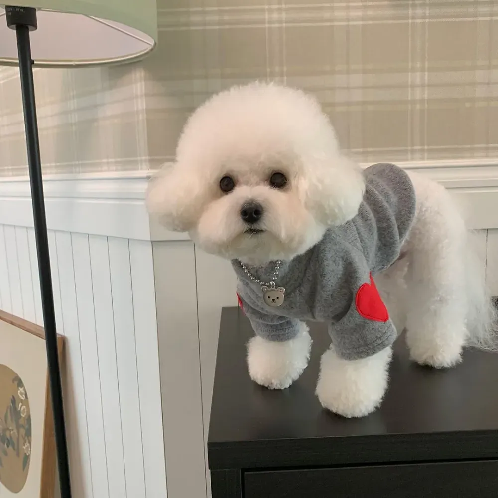 Heart design dog sweater wholesale