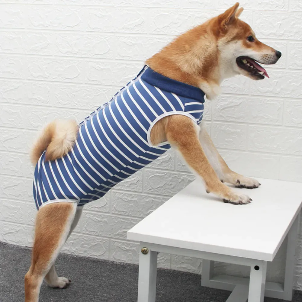 Dog recovery suit Dog recovery suit breathable