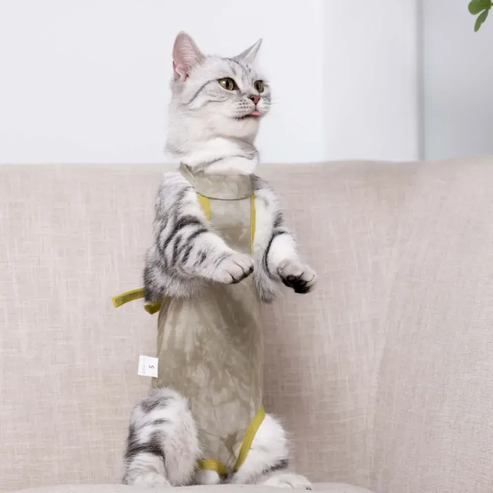 Post-surgery cat shirt wholesale