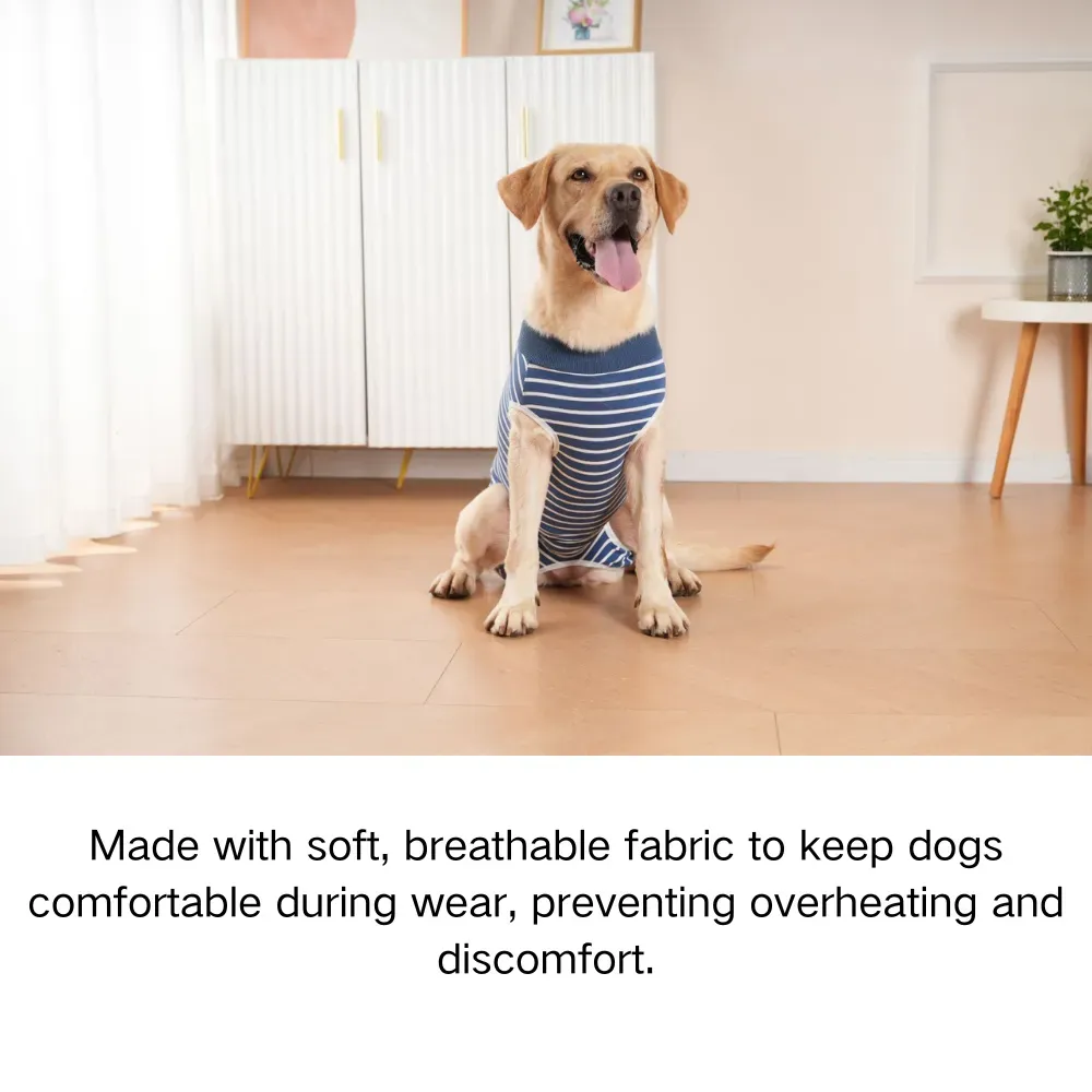 Spay recovery suit Spay recovery suit wholesale