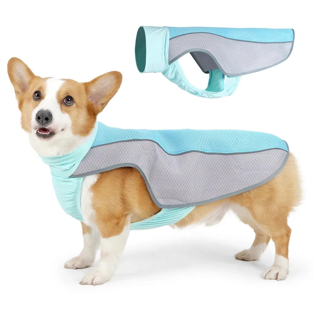 Summer Cooling Vest for Dogs: Perfect for medium and large breeds, this cooling vest helps regulate body temperature in hot weather, preventing overheating and heatstroke.