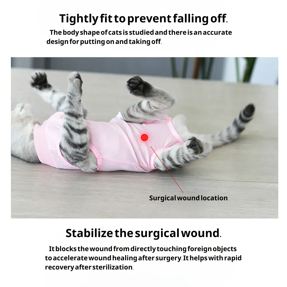 cat surgery recovery suit (3) Prevents Licking for Faster Healing: The primary function of this recovery suit is to prevent the cat from licking the surgery site, which is crucial for faster and more effective healing.