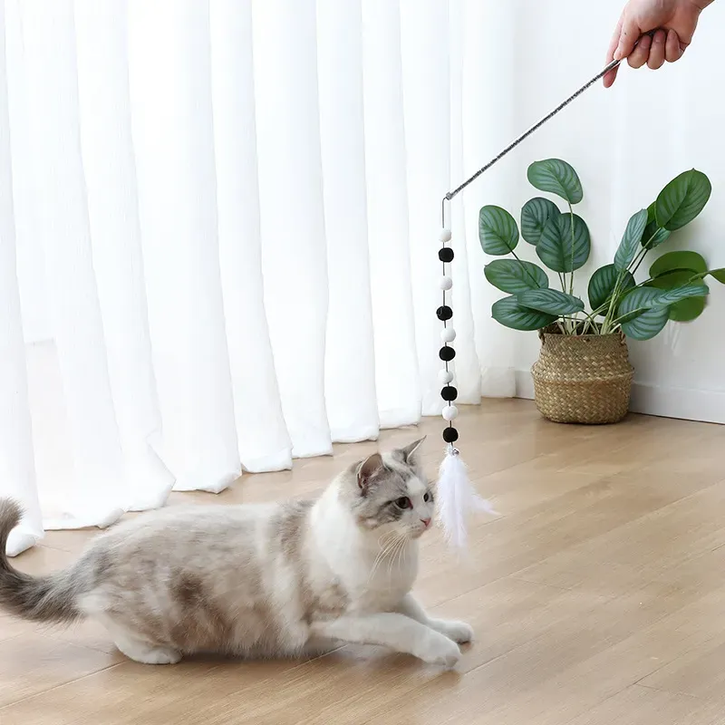 Pet Hot Quality Teaser Toy