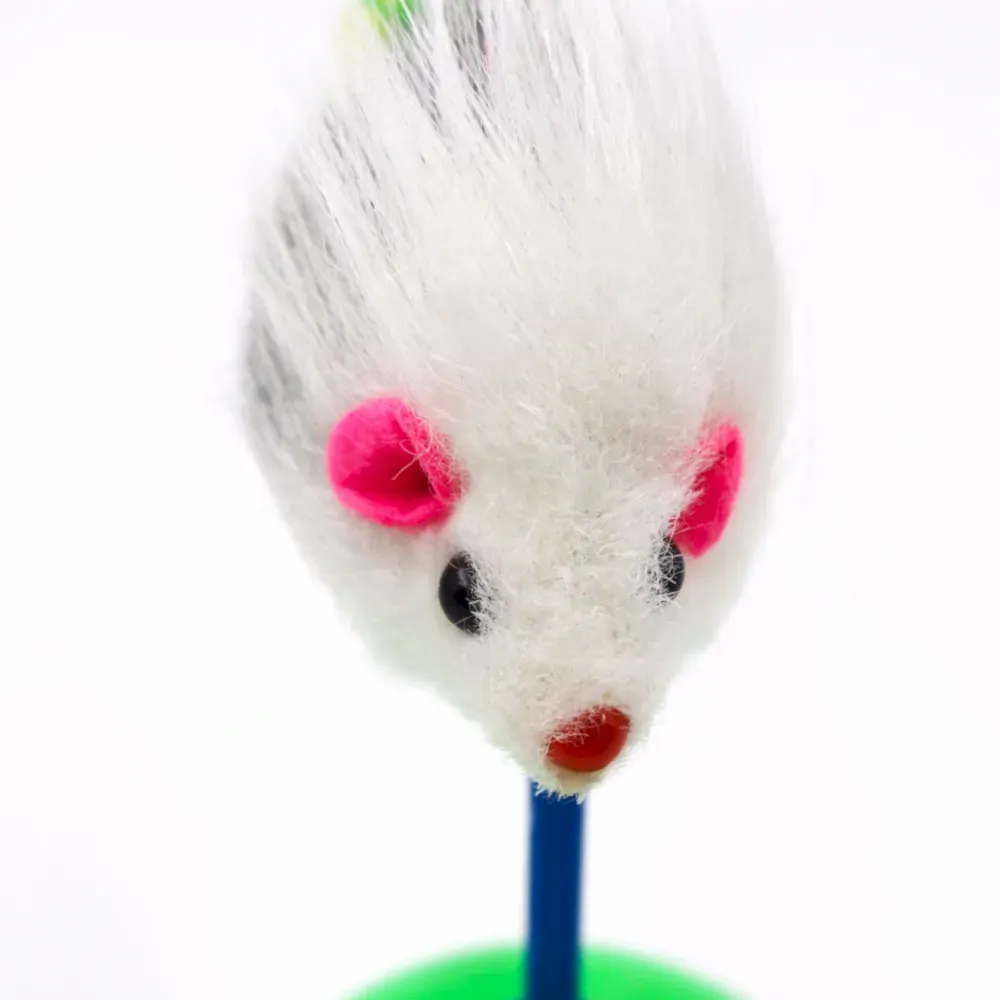 pet ball toy wholesale