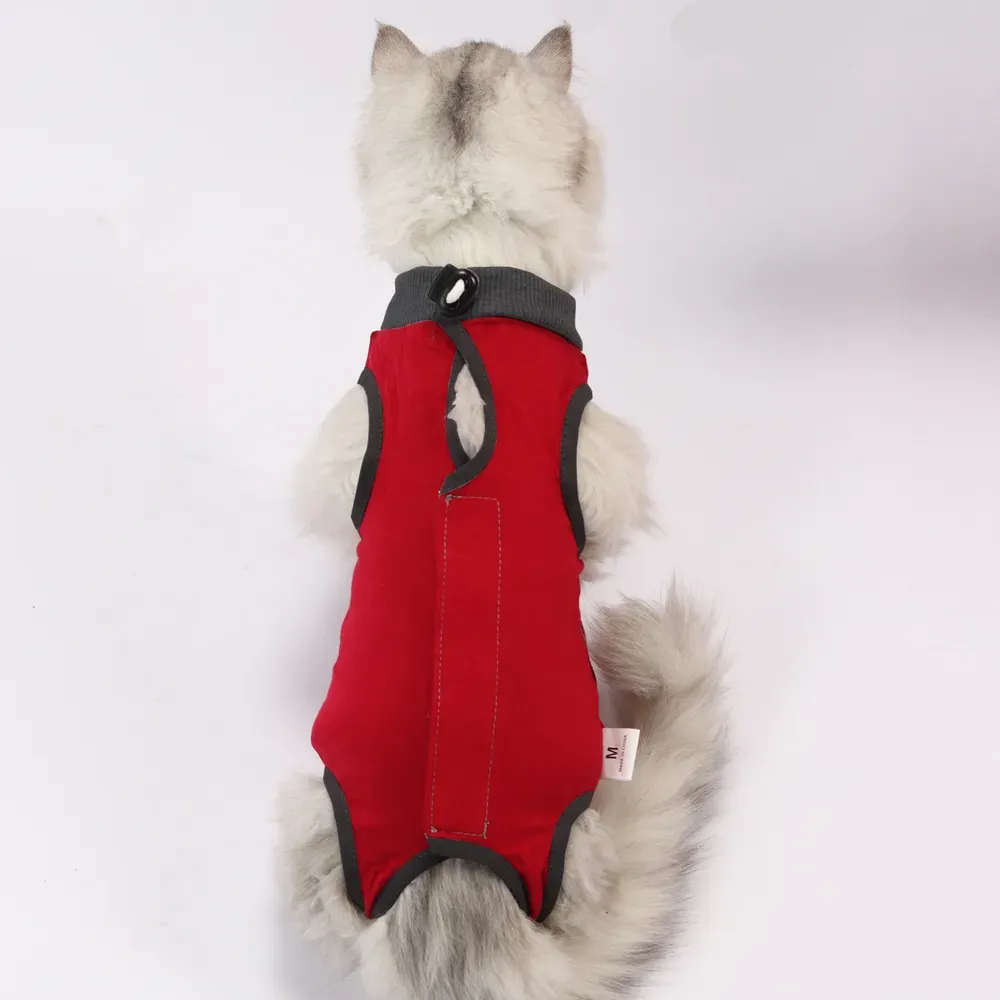 recovery suit for cats_1 Safety First: With a focus on safety and comfort, this recovery suit offers an additional layer of protection for cats, allowing pet owners to rest assured that their pets are healing in the most secure and effective way possible.