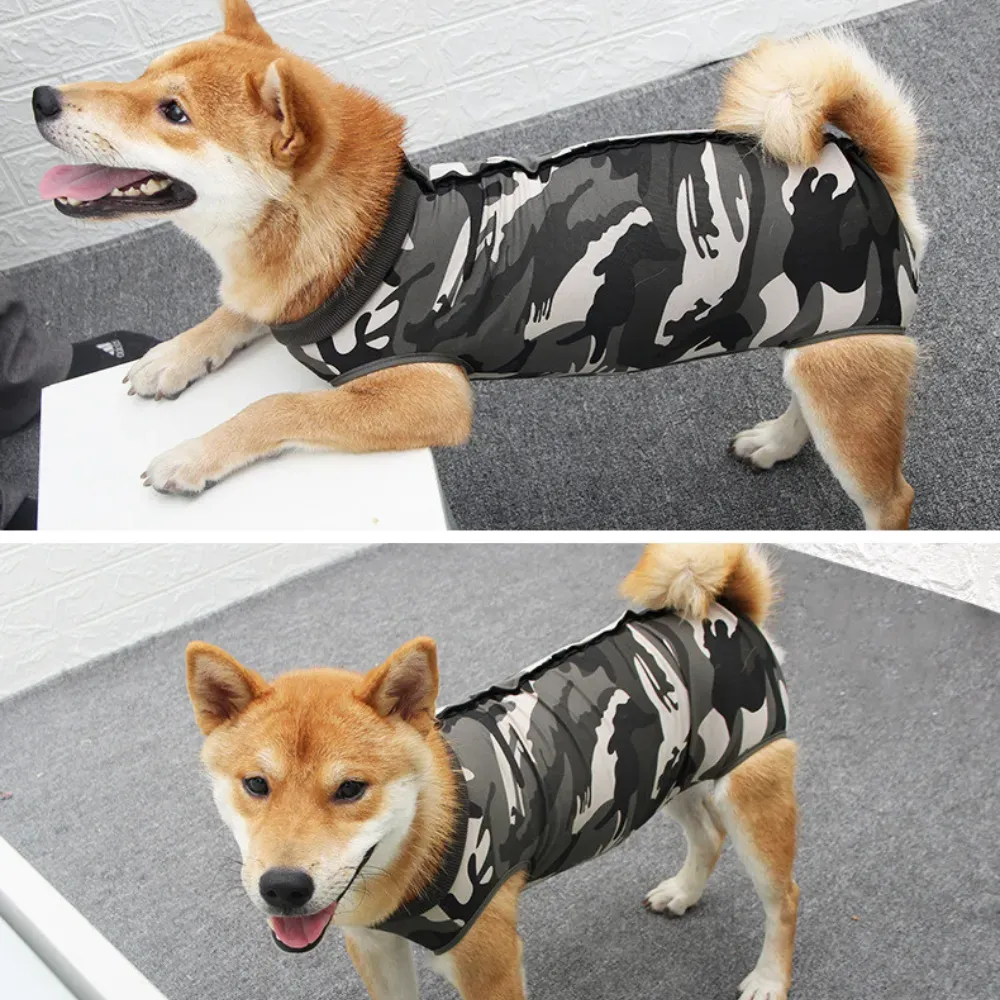 Soft spay recovery suit for dogs