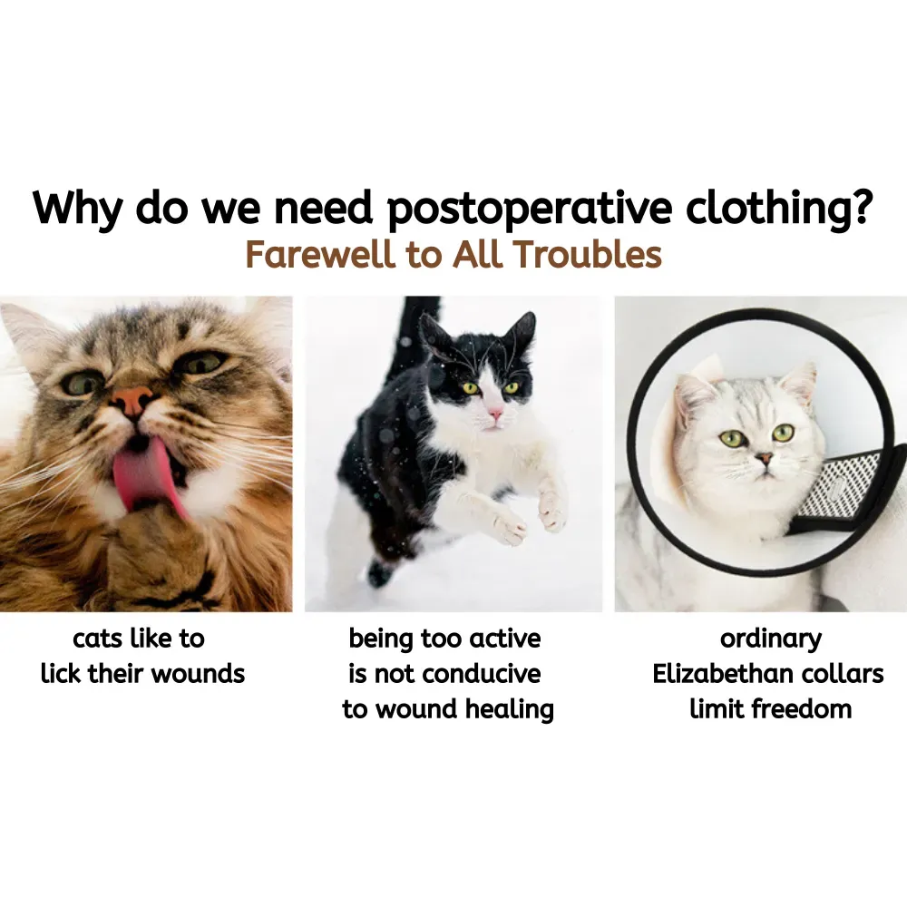 Bulk Cat Recovery Suits