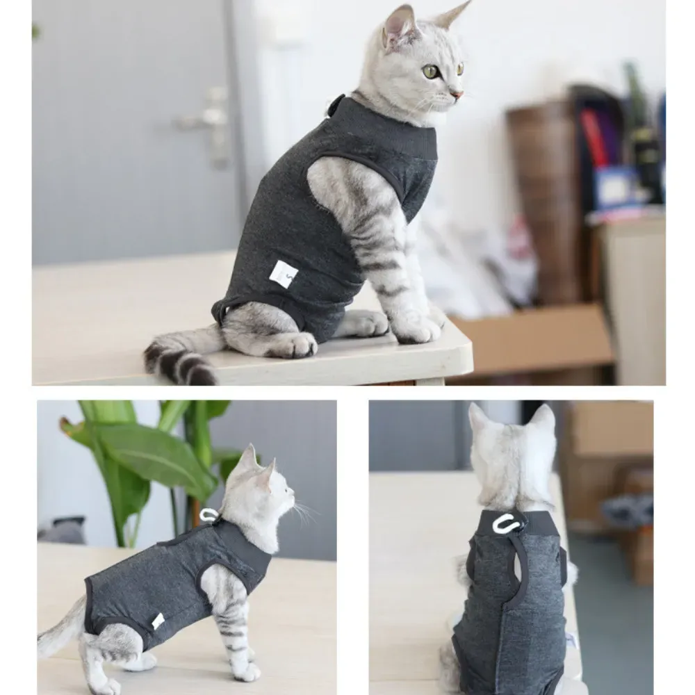 surgical recovery suit for cats (2) Promotes Faster Recovery and Healing: By stabilizing the wound and preventing licking, this recovery suit accelerates healing.