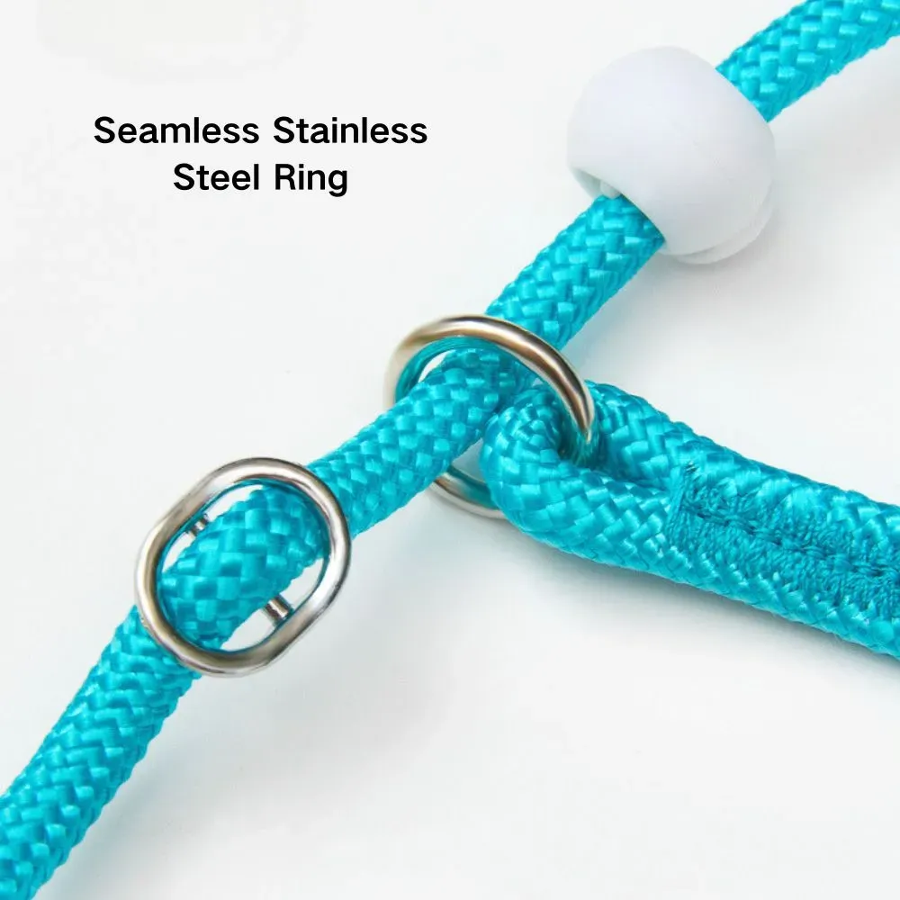 New Slip Lead Dog Leash