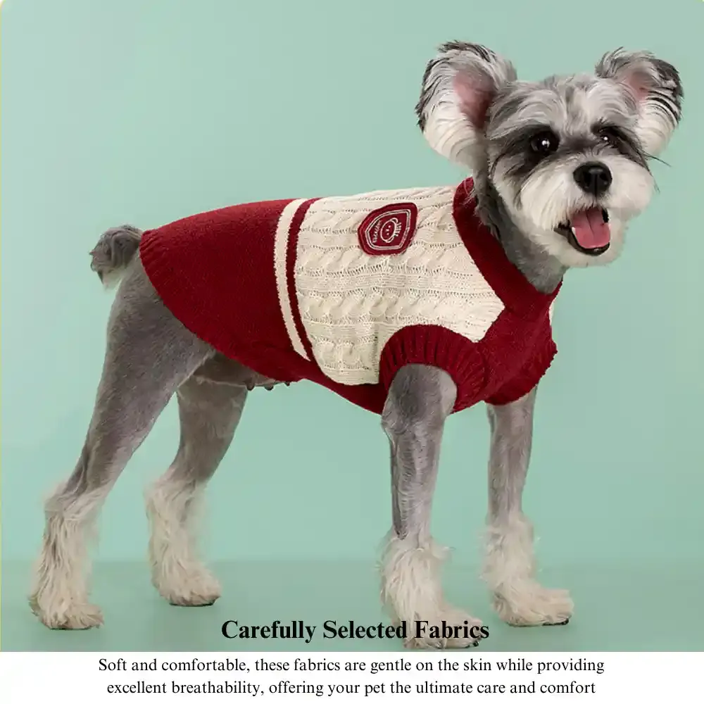 Small Dog Sweater Provider
