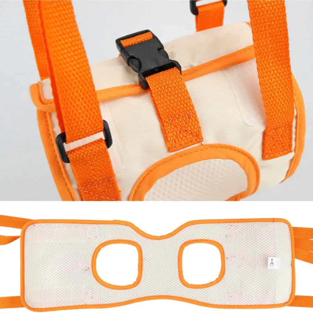 dog support harness dog support harness