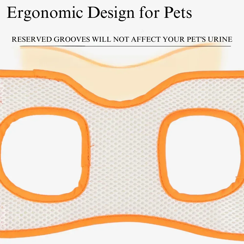 Pet Auxiliary Belt Pet Auxiliary Belt