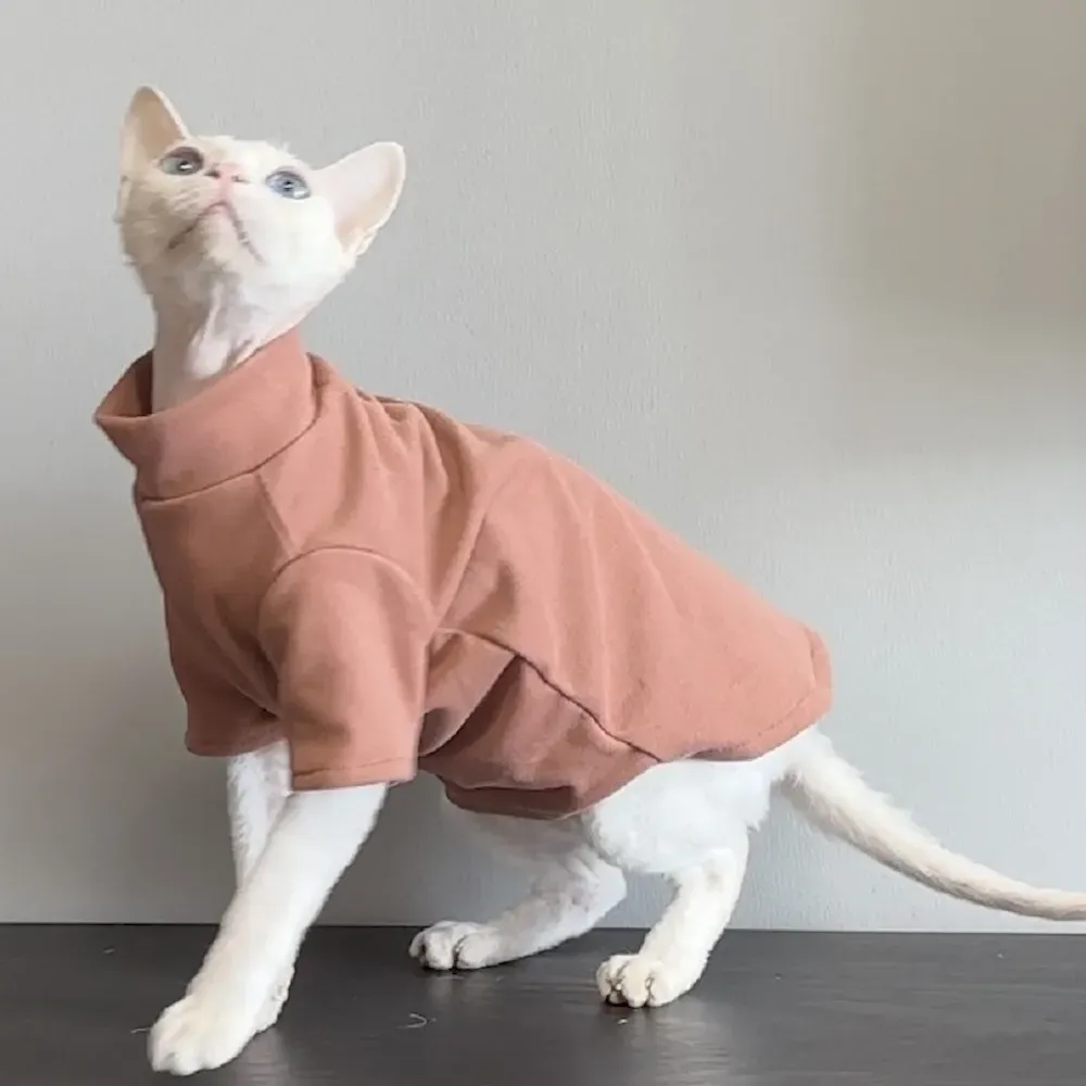 Cozy sweater for cats Cozy sweater for cats pet