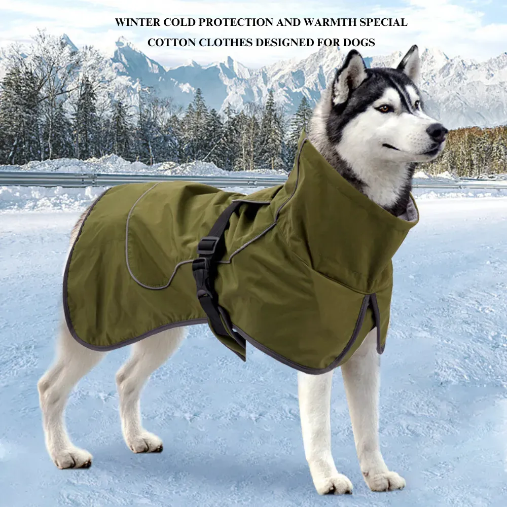 Waterproof Winter Jacket for Pets: Designed with a waterproof outer layer, this jacket ensures that pets stay dry and warm during wet, snowy, or rainy conditions.