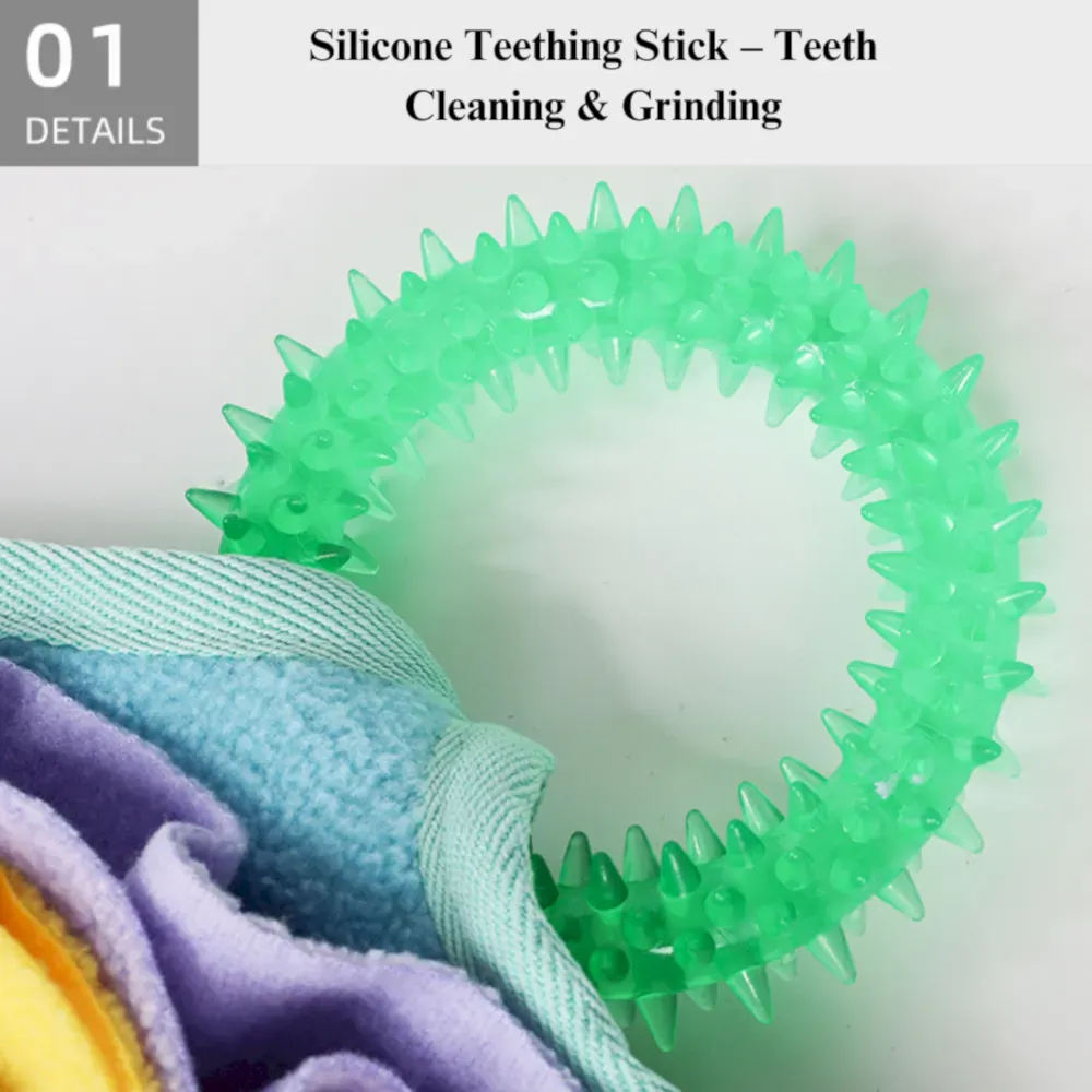 teeth clean snuffle mat