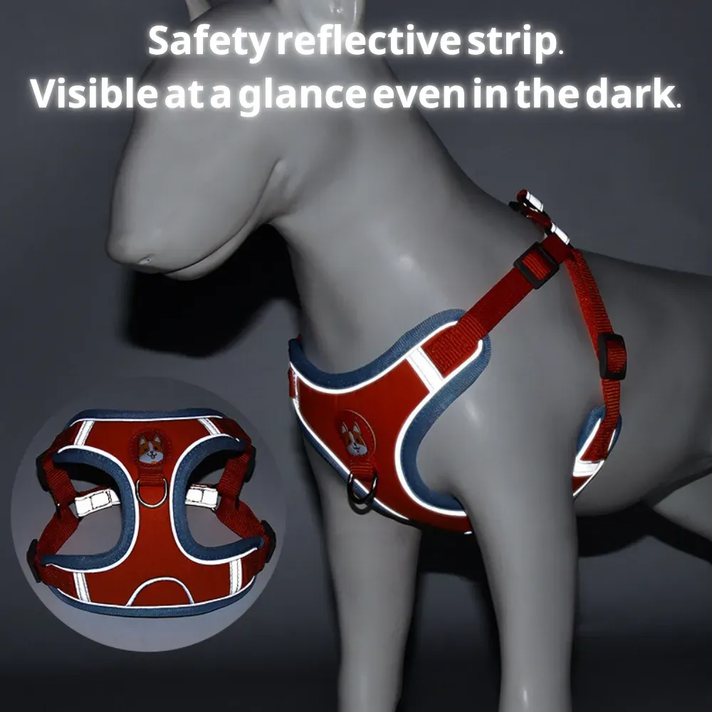 Pet Dog Harness Leash Set