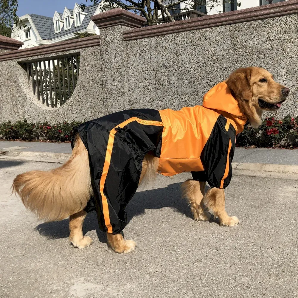 Large dog raincoat wholesale
