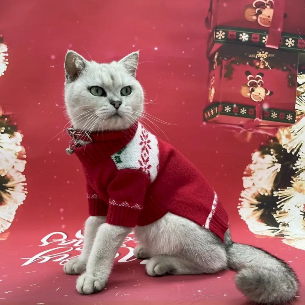 Pet sweater for cats