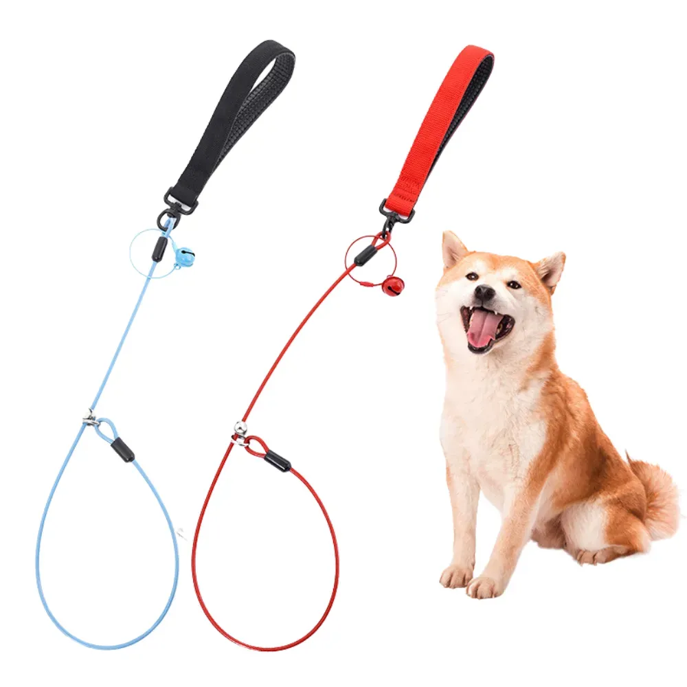 Heavy-Duty Anti-Sudden Pull Dog Leash for Large Dogs: This leash is perfect for active or large dogs prone to pulling. Its strong construction ensures maximum control.
