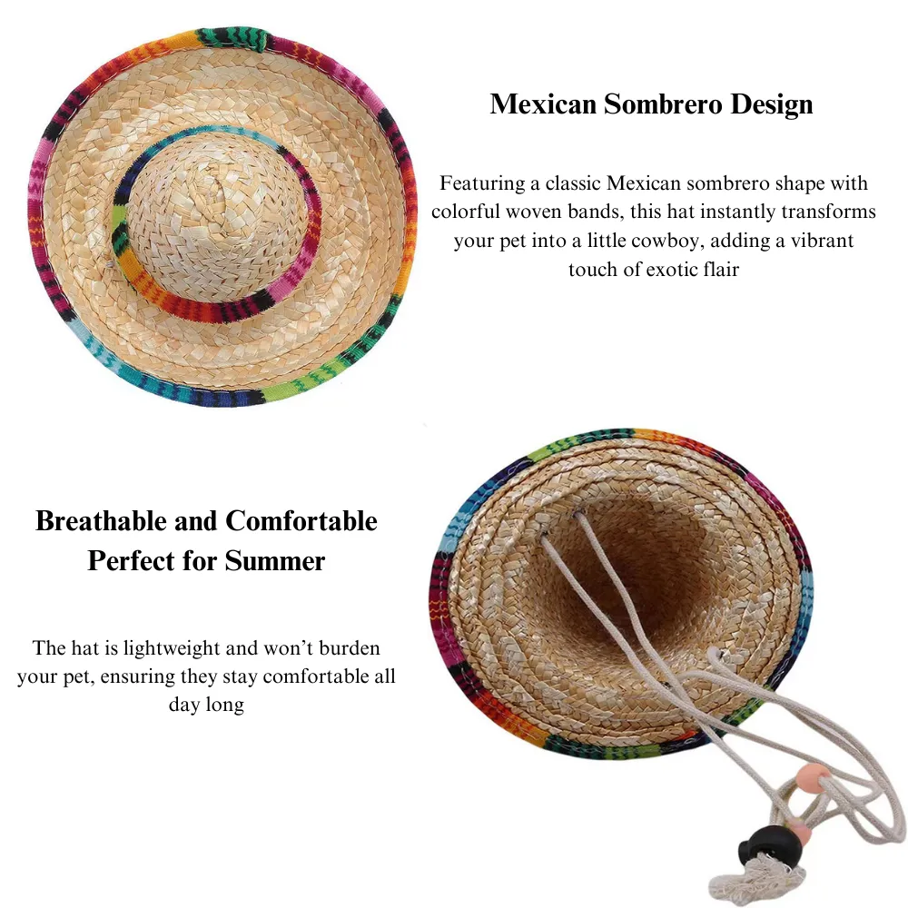 Small Mexican Pet Hat for Kids’ Halloween &amp; Birthday Parties 