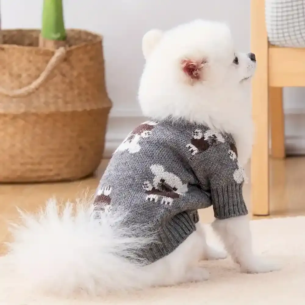 Dog Cardigan Supplier