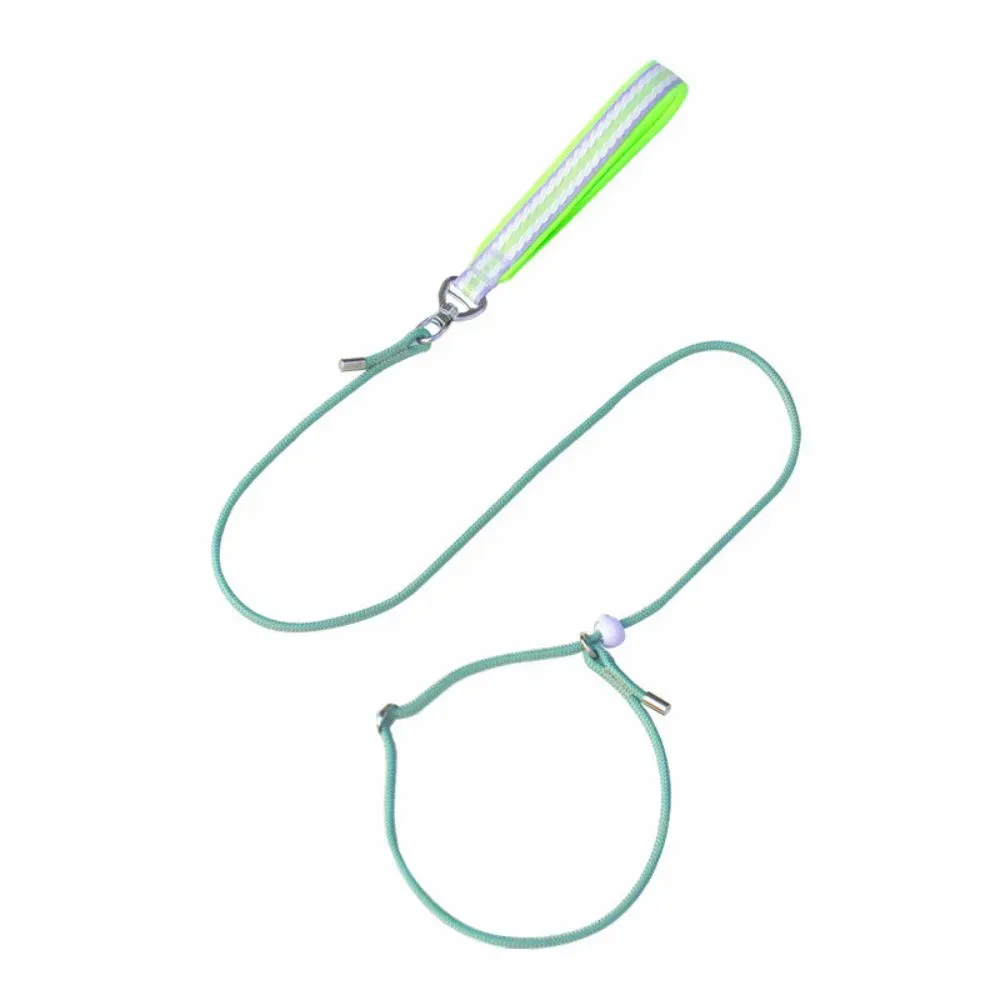Dog Slip Lead Dog Leash