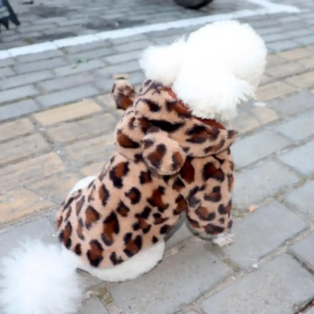 Winter Dog Dress Supplier