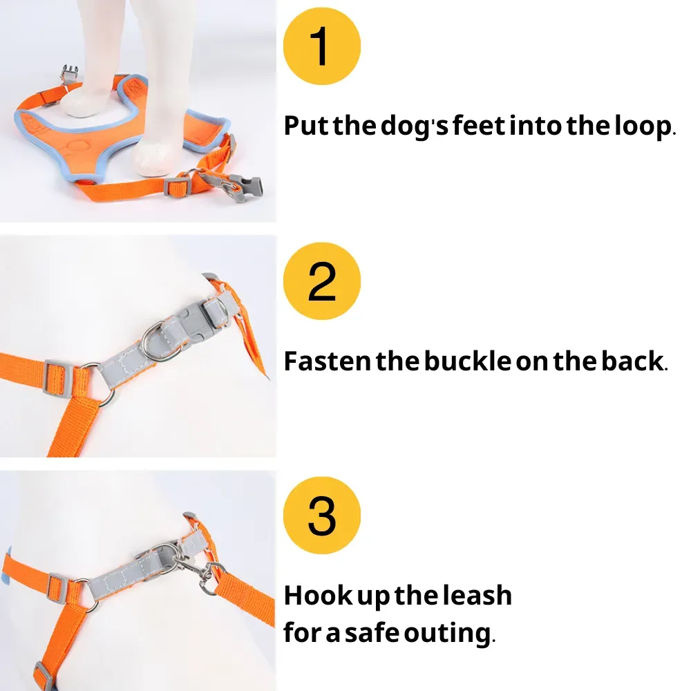 Great New Dog Harness Leash Set