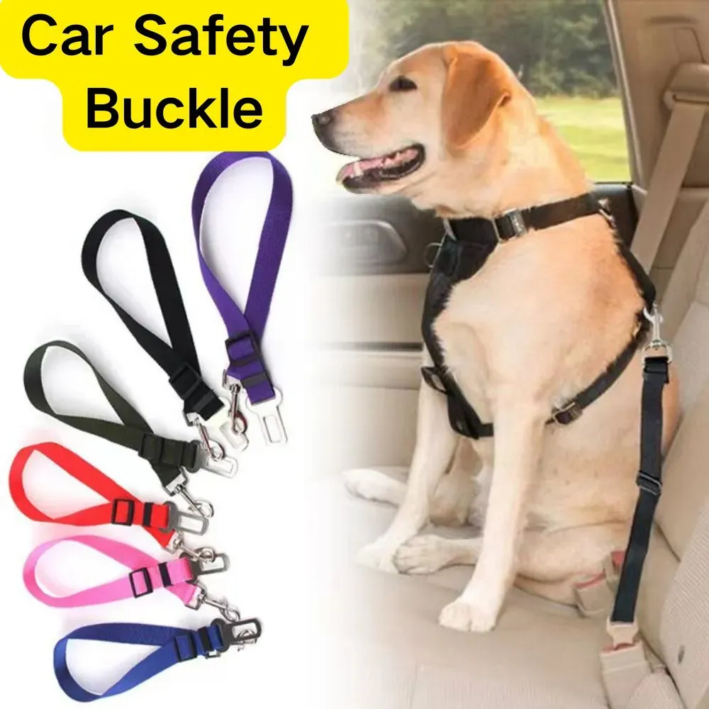 Hot Car Dog Leash