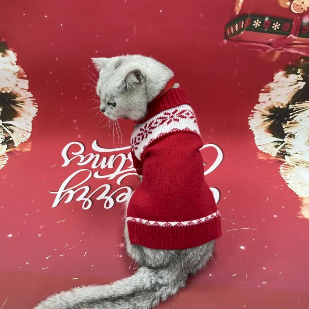 warm winter sweater