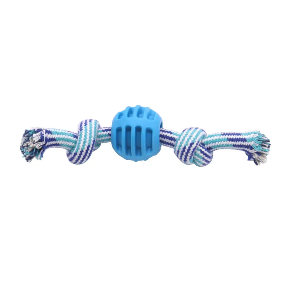 blue dog rope toys
