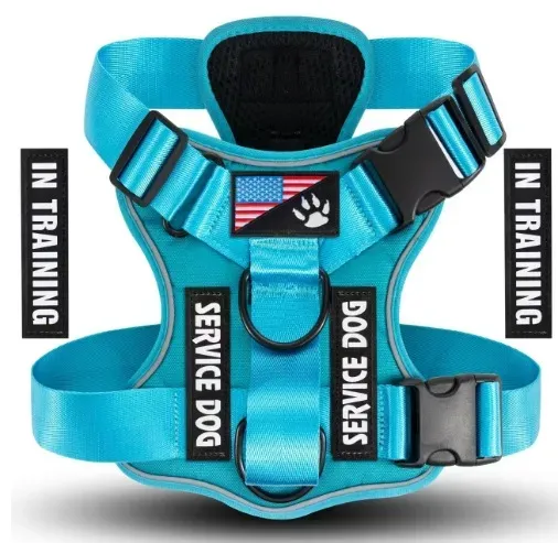 blue dog tactical harness