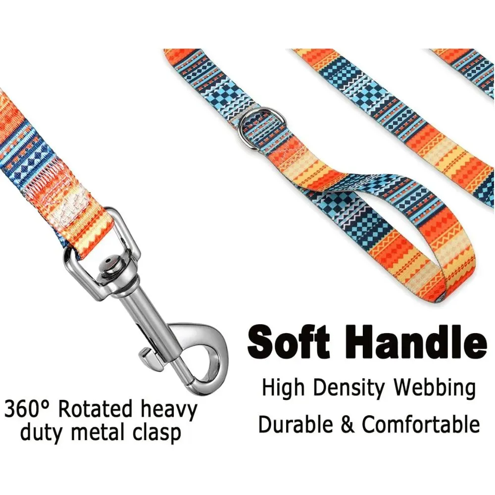dog collar and leash set
